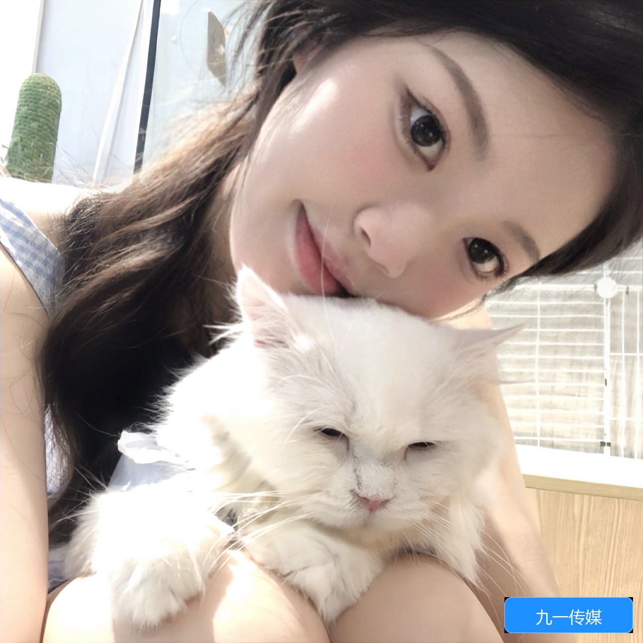 九一传媒公司官网入口有哪些常用方式及使用指南