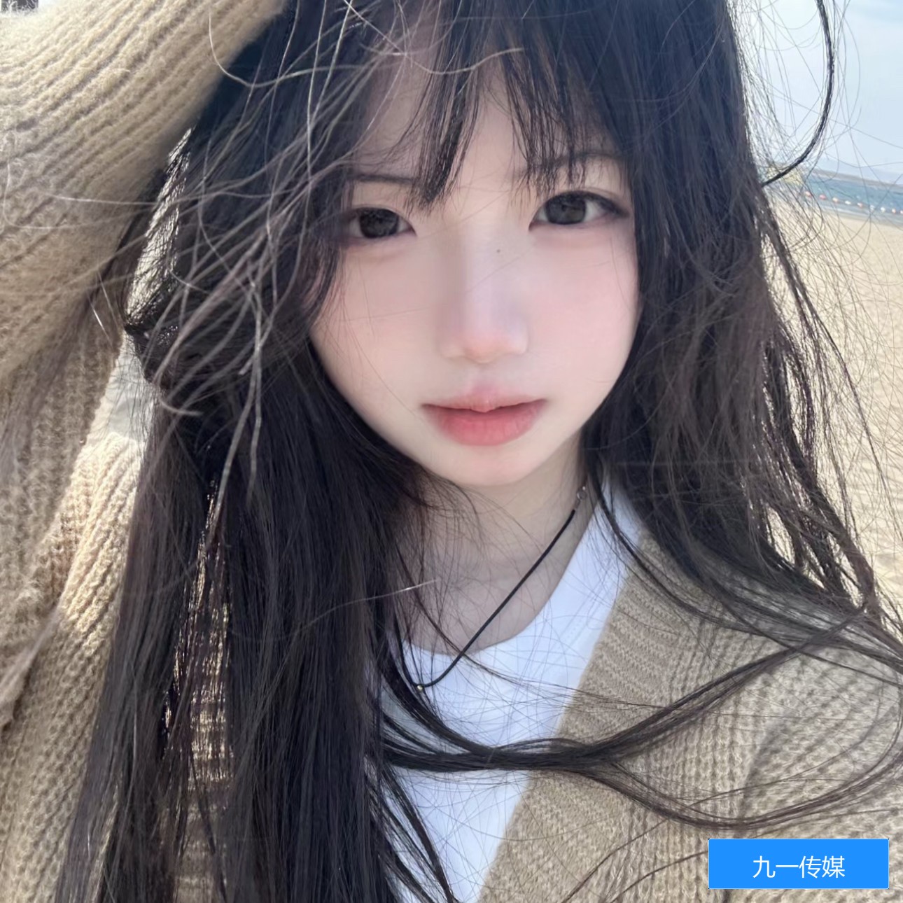 九一传媒网站有哪些主要功能和特色？