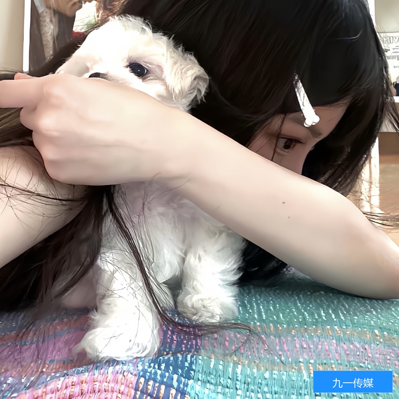 九一传媒官网界面